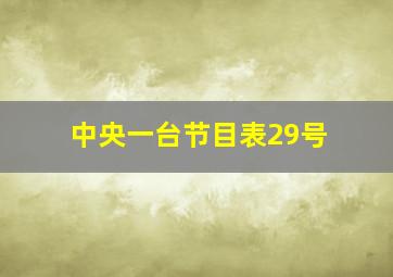 中央一台节目表29号