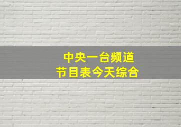 中央一台频道节目表今天综合