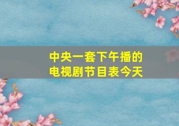 中央一套下午播的电视剧节目表今天