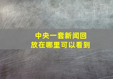 中央一套新闻回放在哪里可以看到