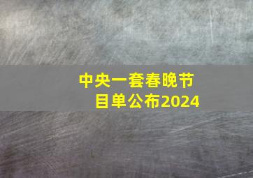 中央一套春晚节目单公布2024