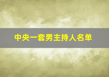 中央一套男主持人名单