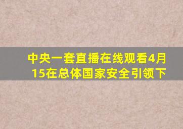 中央一套直播在线观看4月15在总体国家安全引领下