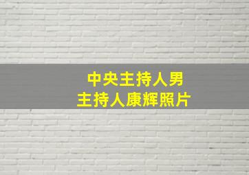 中央主持人男主持人康辉照片