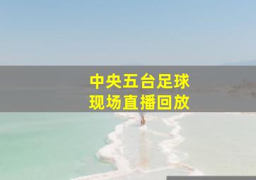 中央五台足球现场直播回放