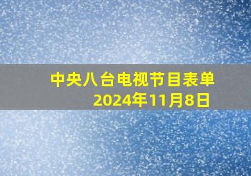 中央八台电视节目表单2024年11月8日