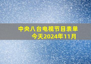 中央八台电视节目表单今天2024年11月