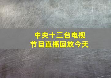 中央十三台电视节目直播回放今天