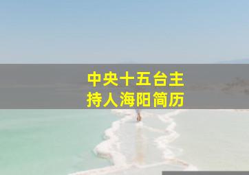 中央十五台主持人海阳简历