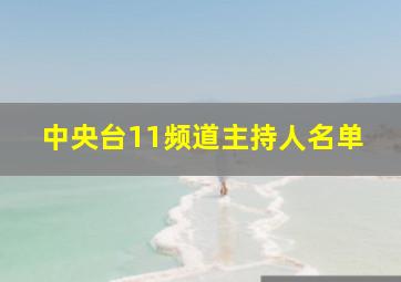 中央台11频道主持人名单