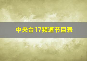 中央台17频道节目表