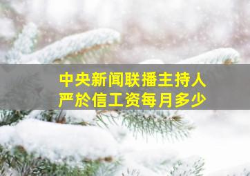 中央新闻联播主持人严於信工资每月多少