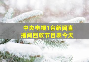 中央电视1台新闻直播间回放节目表今天