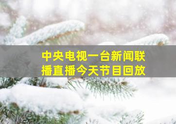 中央电视一台新闻联播直播今天节目回放