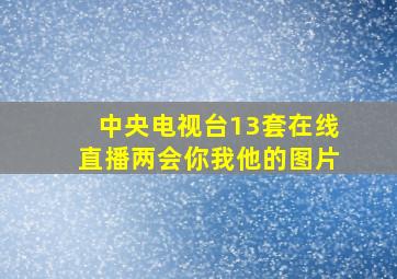 中央电视台13套在线直播两会你我他的图片