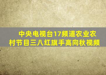 中央电视台17频道农业农村节目三八红旗手高向秋视频