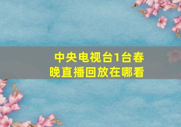 中央电视台1台春晚直播回放在哪看