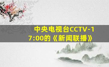 中央电视台CCTV-17:00的《新闻联播》