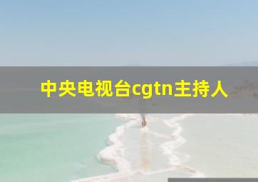 中央电视台cgtn主持人