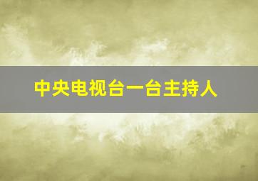 中央电视台一台主持人