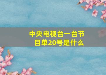 中央电视台一台节目单20号是什么