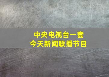 中央电视台一套今天新闻联播节目