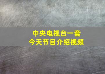 中央电视台一套今天节目介绍视频