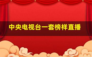 中央电视台一套榜样直播