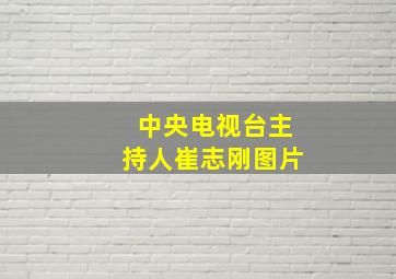 中央电视台主持人崔志刚图片