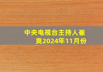 中央电视台主持人崔爽2024年11月份