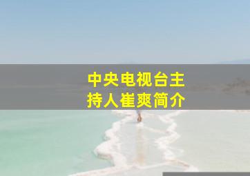 中央电视台主持人崔爽简介