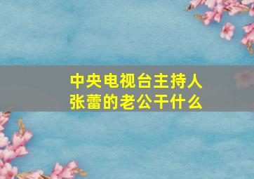 中央电视台主持人张蕾的老公干什么