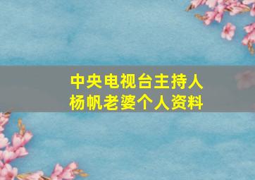 中央电视台主持人杨帆老婆个人资料