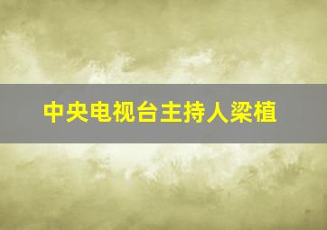 中央电视台主持人梁植