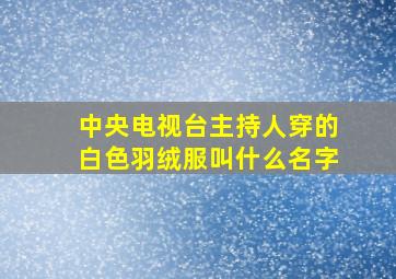 中央电视台主持人穿的白色羽绒服叫什么名字