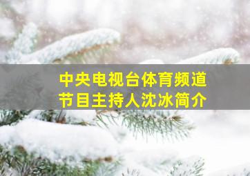 中央电视台体育频道节目主持人沈冰简介