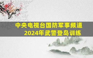 中央电视台国防军事频道2024年武警登岛训练