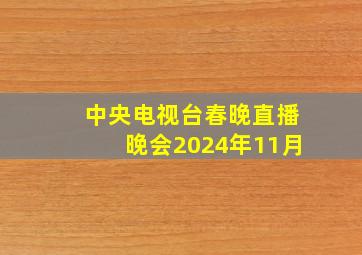 中央电视台春晚直播晚会2024年11月