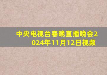 中央电视台春晚直播晚会2024年11月12日视频