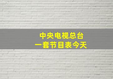 中央电视总台一套节目表今天