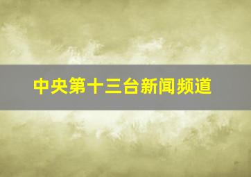 中央第十三台新闻频道