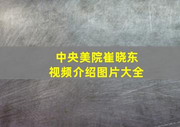 中央美院崔晓东视频介绍图片大全