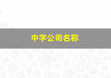 中字公司名称