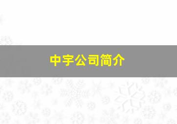 中宇公司简介