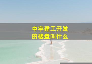 中宇建工开发的楼盘叫什么