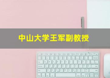 中山大学王军副教授