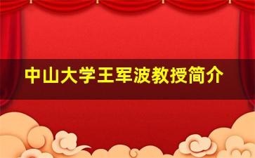 中山大学王军波教授简介