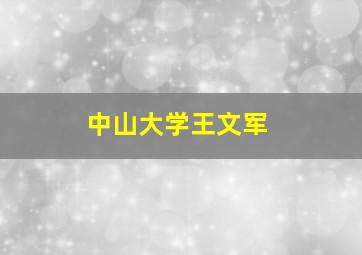 中山大学王文军