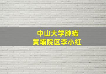 中山大学肿瘤黄埔院区李小红