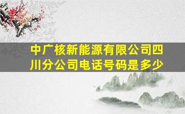 中广核新能源有限公司四川分公司电话号码是多少